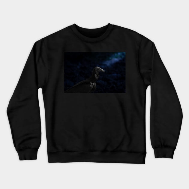 the vulture Crewneck Sweatshirt by rickylabellevie